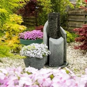 Phlox subulata 'Goldiphlox Light Pink' - image 3