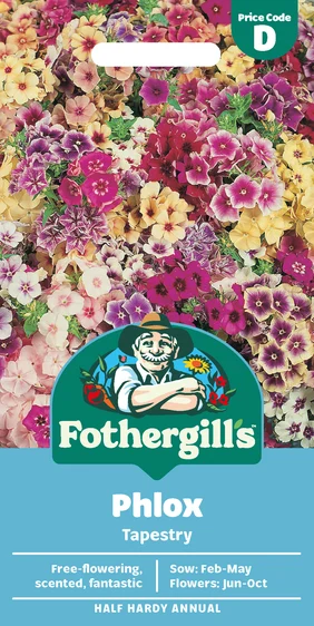 Phlox Tapestry - image 1