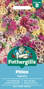 Phlox Tapestry - image 1