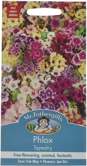 Phlox Tapestry - image 1