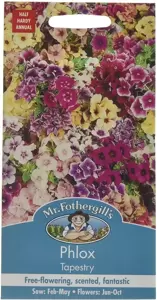 Phlox Tapestry - image 1