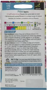 Phlox Tapestry - image 2