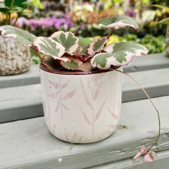 Pink Leaf Pot -  Ø 6cm - image 4
