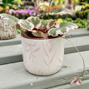 Pink Leaf Pot -  Ø 6cm - image 4