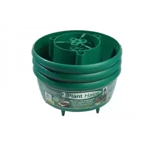Plant Watering Halo - Green