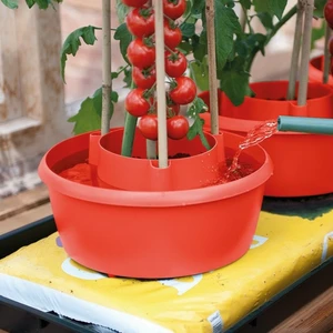 Plant Watering Halo - Red