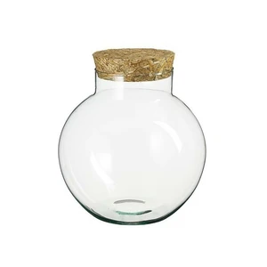 Plona Terrarium - Ø25cm - image 2