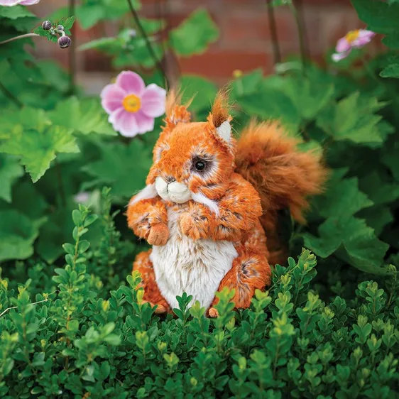 Plush Collection Squirrel - image 1
