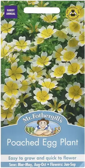 Poached Egg Plant - image 1