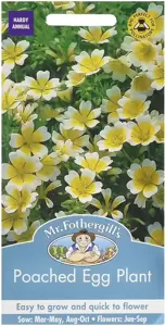 Poached Egg Plant - image 1