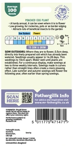 Poached Egg Plant Seeds - image 2