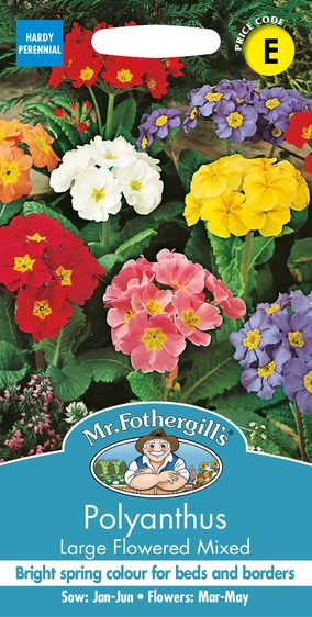 Polyanthus Large Flowered Mix - image 1