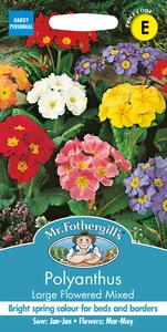 Polyanthus Large Flowered Mix - image 1