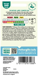 Polyanthus Large Flowered Mix - image 2