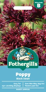 Poppy Black Swan - image 1