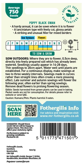 Poppy Black Swan - image 2