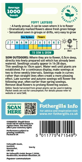 Poppy Ladybird - image 2