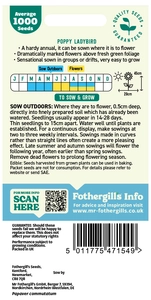 Poppy Ladybird - image 2