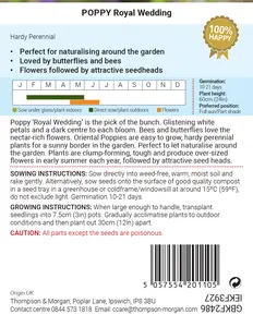 Poppy Royal Wedding - image 2