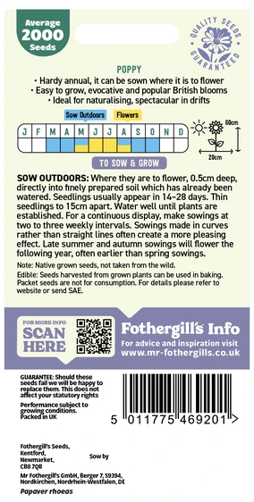 Poppy Wildflower - image 2