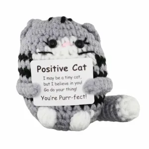 Positive Crochet Cat