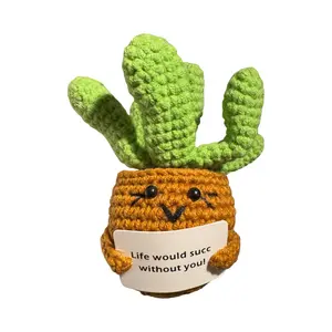 Positive Crochet Succulent