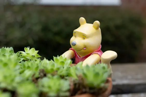 Winnie The Pooh Climbing Pot Buddy - image 2