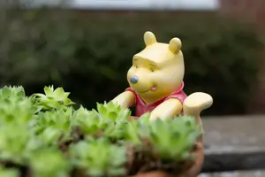 Winnie The Pooh Climbing Pot Buddy - image 2