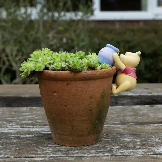 Winnie The Pooh & Honey Pot Buddy - image 1