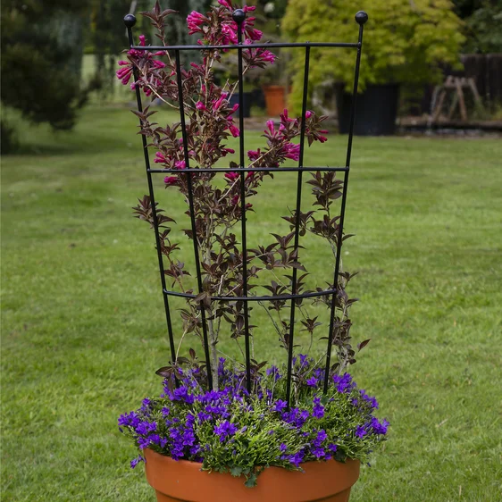 Pot & Planter Trellis - 90cm - image 1