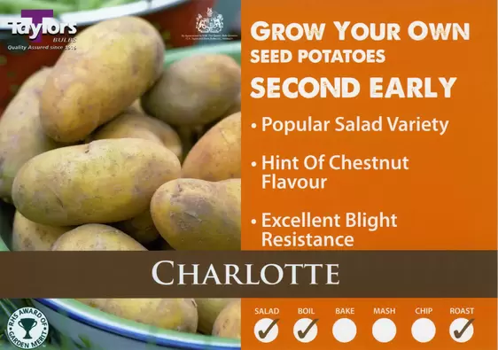 Potato Charlotte - 2kg