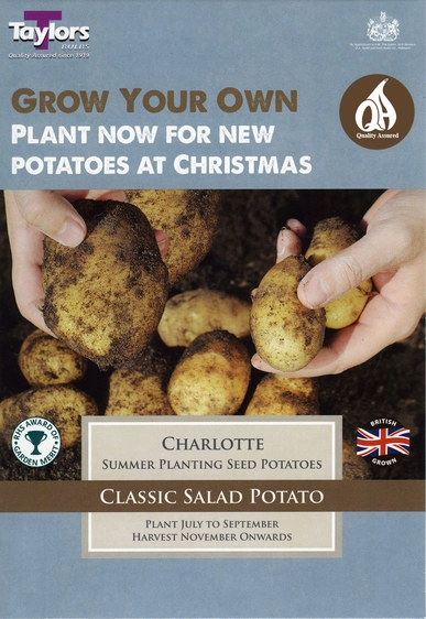 Potato Charlotte - Christmas Taster Pack