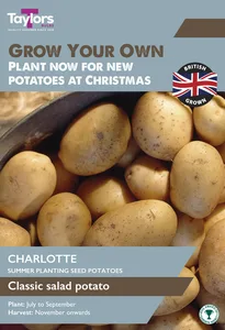 Potato Charlotte - Christmas Taster Pack