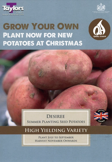 Potato Desiree - Christmas Taster Pack