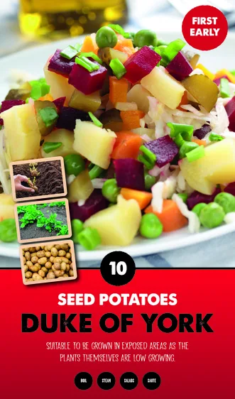 Potato Duke of York - Taster Pack