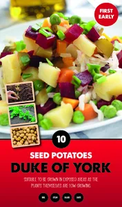 Potato Duke of York - Taster Pack