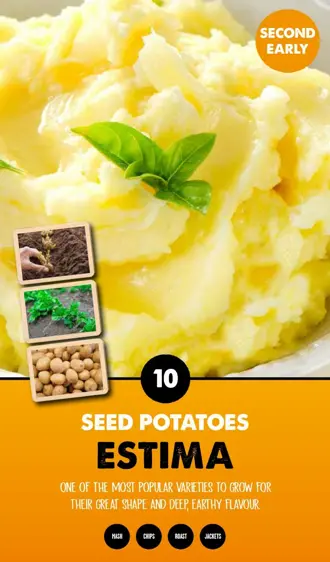 Potato Estima - Taster Pack