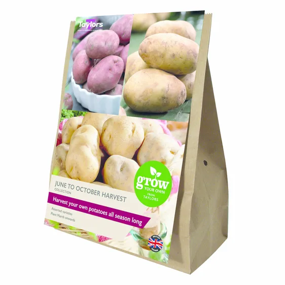 Potato June To October Harvest Collection