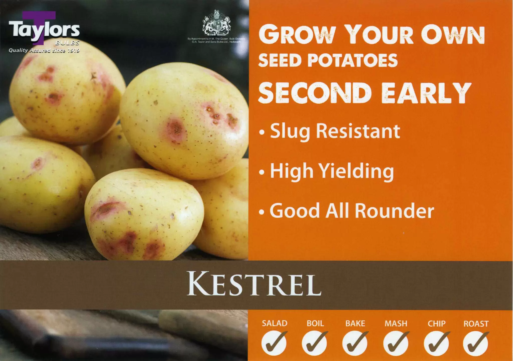 Potato Kestrel 2kg Cowell's Garden Centre Woolsington