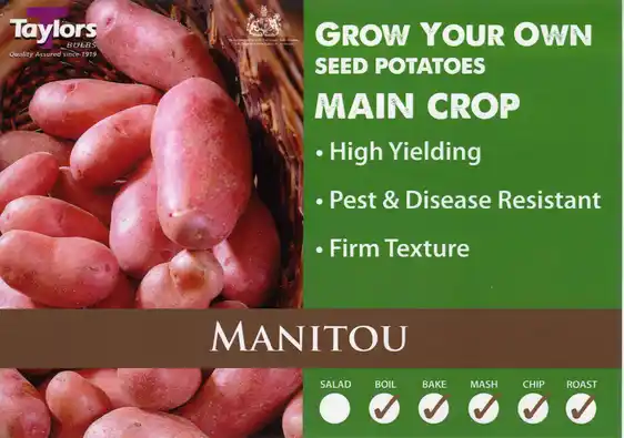 Potato Manitou - 2kg