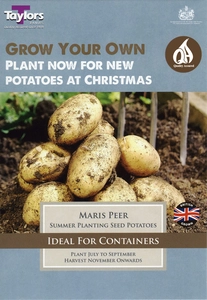 Potato Maris Peer - Christmas Taster Pack