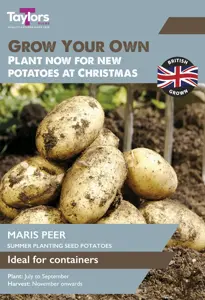 Potato Maris Peer - Christmas Taster Pack