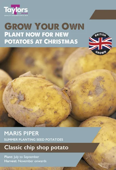 Potato Maris Piper - Christmas Taster Pack