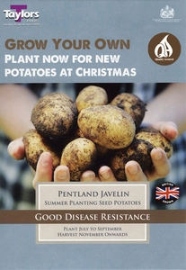 Potato Pentland Javelin - Christmas Taster Pack
