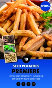 Potato Premiere - Taster Pack