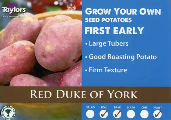 Potato Red Duke of York - 2kg