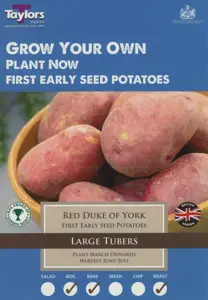Potato Red Duke of York - Taster Pack