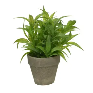 Potted Artificial Eucalyptus