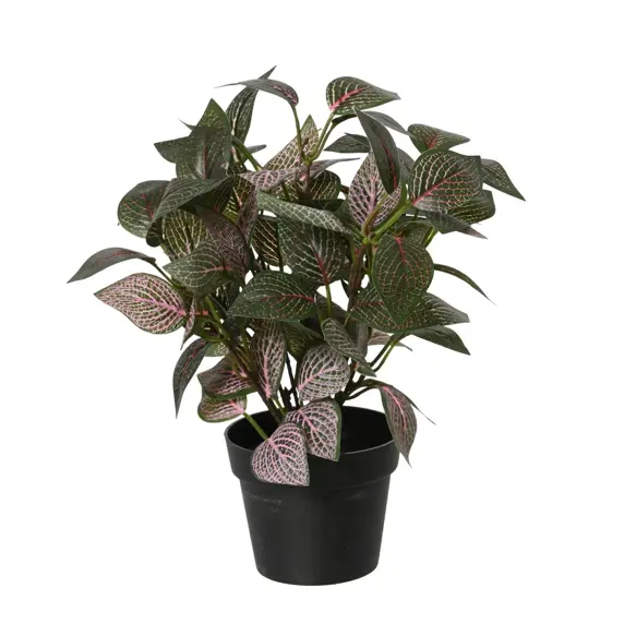 Potted Artificial Fittonia Plant - image 2