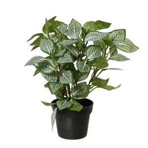Potted Artificial Fittonia Plant